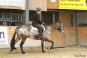 29-ApHC OHUS_025